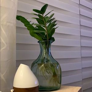 Meet your Posher, Sylvia